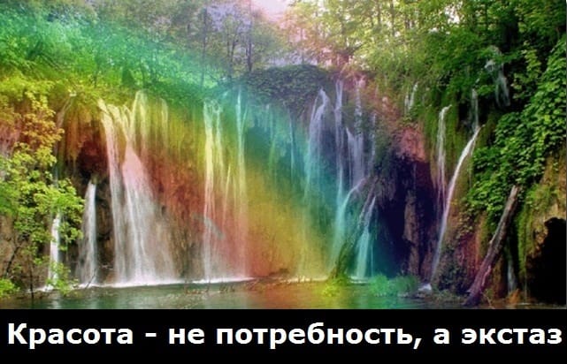 Афоризмы что есть красота Афоризмы что есть красота